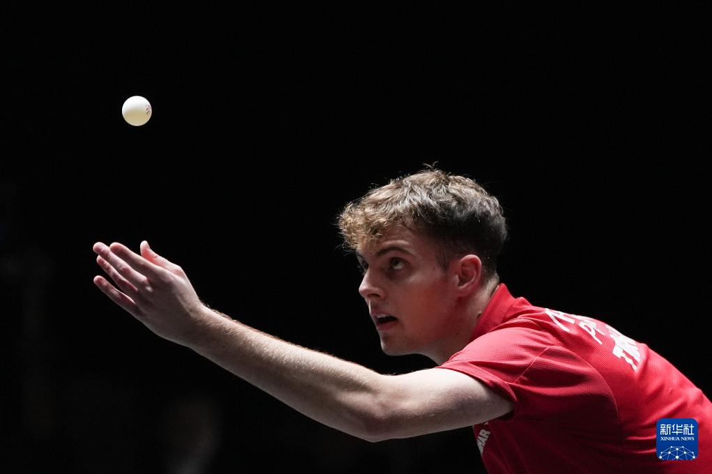 中国组合显 中国组合显