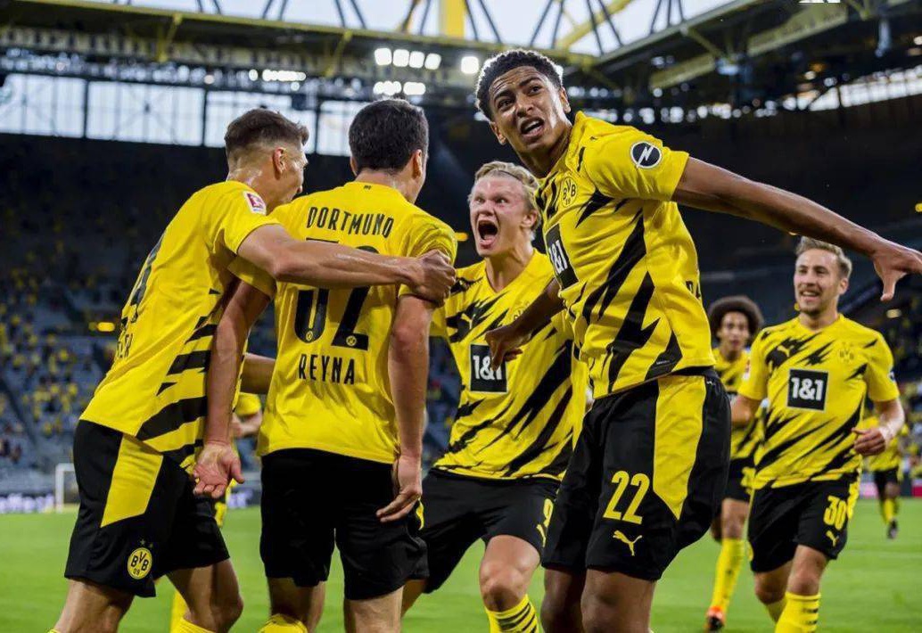 南特主教练 南特主教练