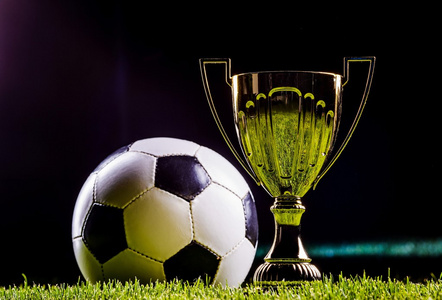 他们仍有机 他们仍有机