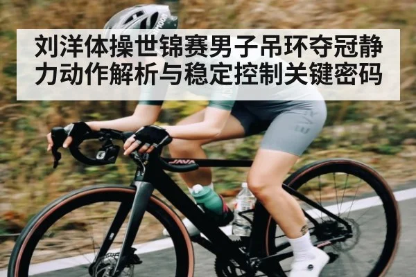 刘洋体操世锦赛男子吊环夺冠静力动作解析与稳定控制关键密码 | c7c7.app